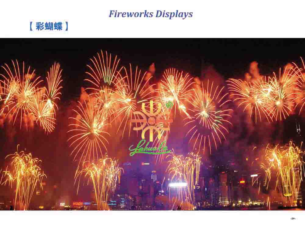 Fireworks Display Effect 22
